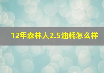 12年森林人2.5油耗怎么样