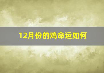 12月份的鸡命运如何