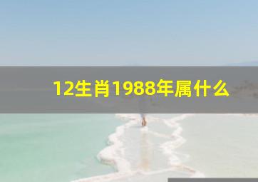 12生肖1988年属什么