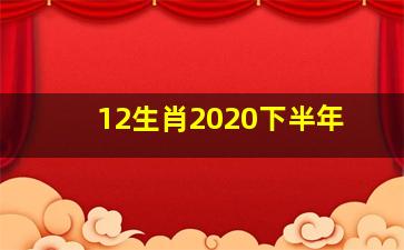 12生肖2020下半年