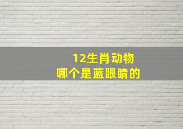 12生肖动物哪个是蓝眼睛的