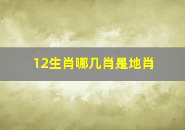 12生肖哪几肖是地肖