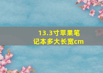 13.3寸苹果笔记本多大长宽cm