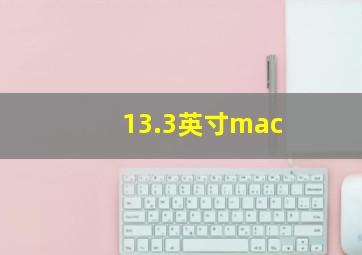 13.3英寸mac