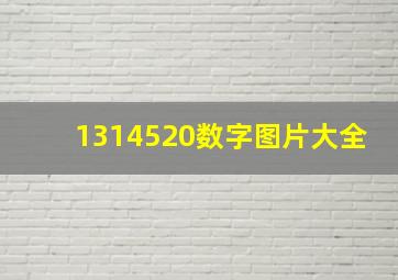 1314520数字图片大全