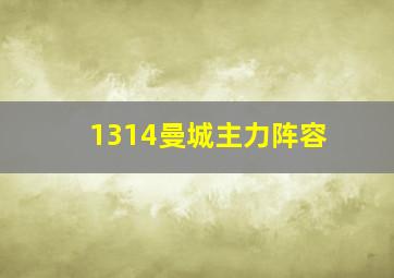 1314曼城主力阵容