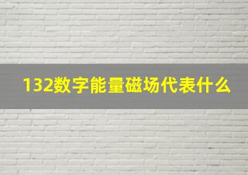 132数字能量磁场代表什么