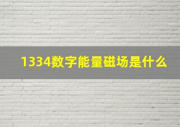 1334数字能量磁场是什么