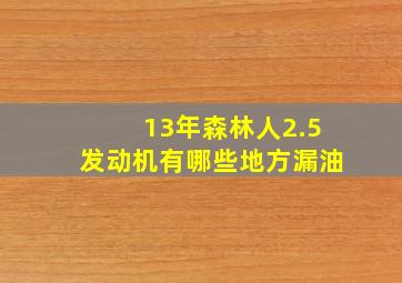 13年森林人2.5发动机有哪些地方漏油