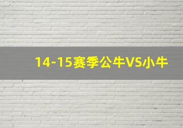 14-15赛季公牛VS小牛