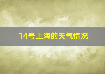 14号上海的天气情况