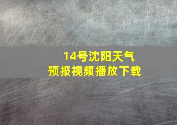 14号沈阳天气预报视频播放下载