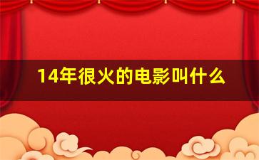 14年很火的电影叫什么