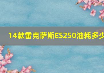 14款雷克萨斯ES250油耗多少