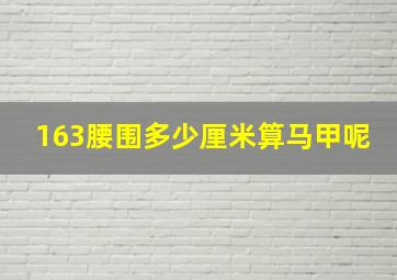 163腰围多少厘米算马甲呢