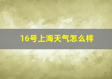 16号上海天气怎么样