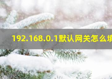 192.168.0.1默认网关怎么填