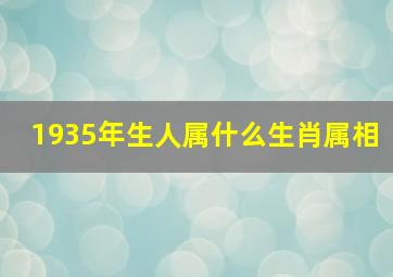 1935年生人属什么生肖属相