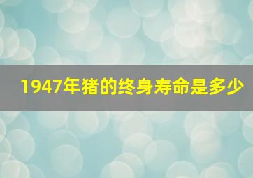 1947年猪的终身寿命是多少