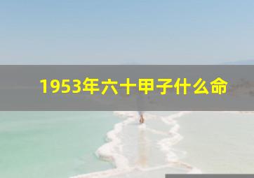 1953年六十甲子什么命