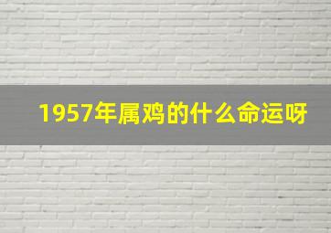 1957年属鸡的什么命运呀