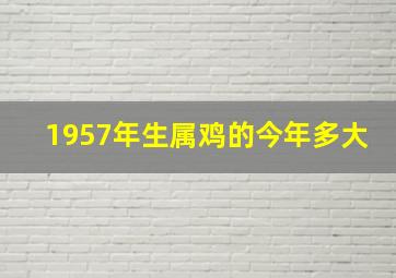 1957年生属鸡的今年多大