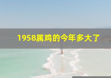 1958属鸡的今年多大了