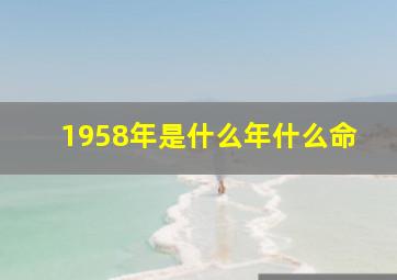 1958年是什么年什么命