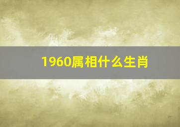 1960属相什么生肖