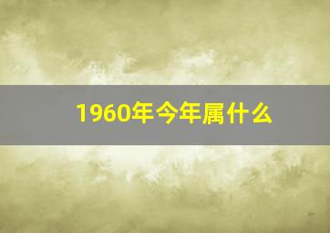 1960年今年属什么