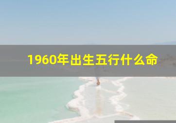 1960年出生五行什么命