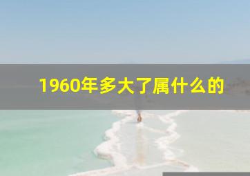 1960年多大了属什么的