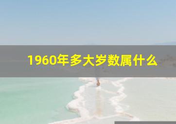 1960年多大岁数属什么