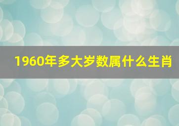 1960年多大岁数属什么生肖