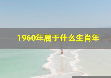 1960年属于什么生肖年