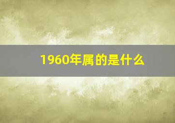 1960年属的是什么