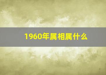 1960年属相属什么