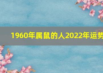 1960年属鼠的人2022年运势