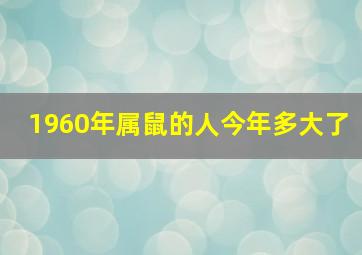 1960年属鼠的人今年多大了