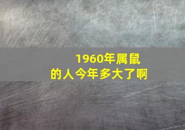 1960年属鼠的人今年多大了啊