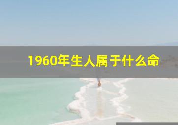 1960年生人属于什么命