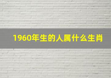 1960年生的人属什么生肖