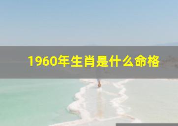 1960年生肖是什么命格