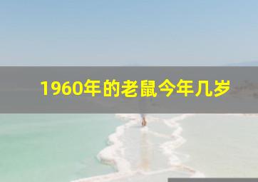 1960年的老鼠今年几岁