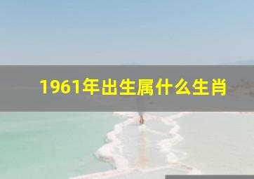 1961年出生属什么生肖