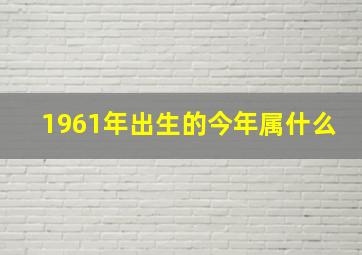 1961年出生的今年属什么