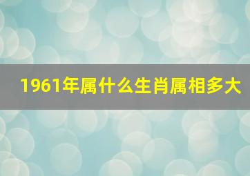 1961年属什么生肖属相多大