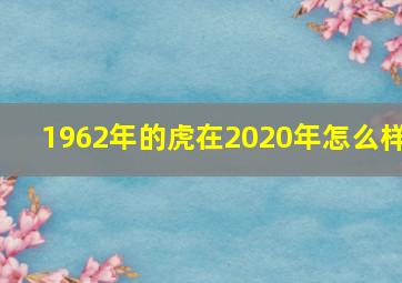 1962年的虎在2020年怎么样