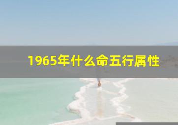 1965年什么命五行属性