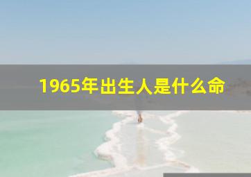 1965年出生人是什么命